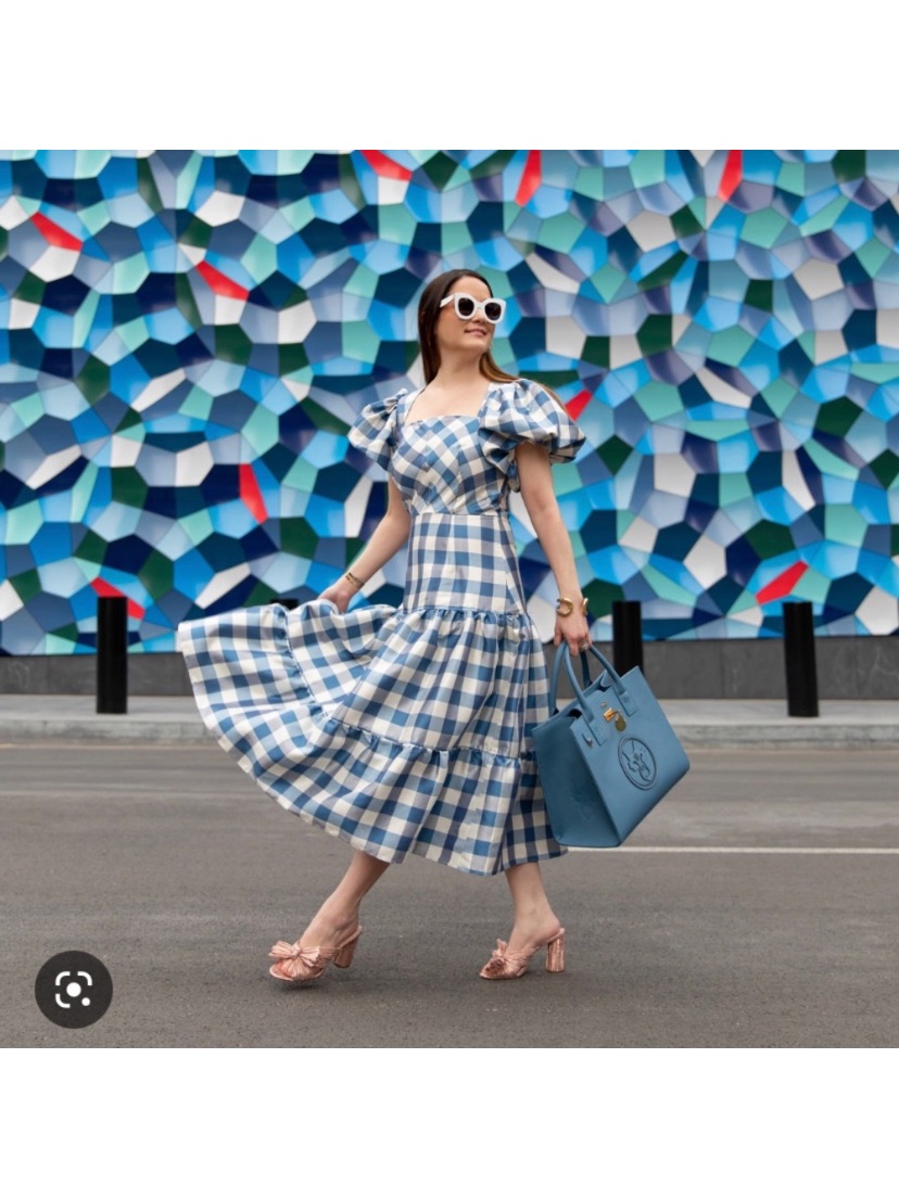 Hunter Bell Blue Check Cassidy Dress Puff Sleeve Tiered Midi Women’s Size 6